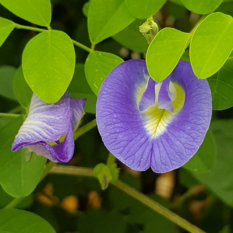 北 미사일 도발한 날 美 전략폭격기 떴다 <b>한미일</b> <b>연합</b> <b>공중</b><b>훈련</b>