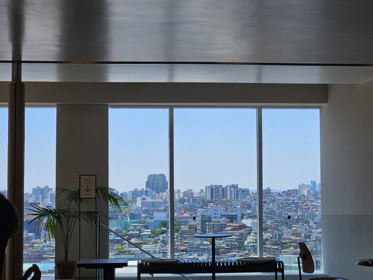  돌이켜 봄