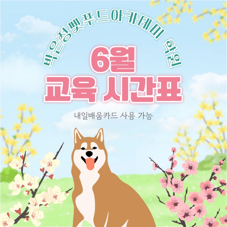  펫푸드 국비 지원 내일배움카드 5월, 6월 시간표