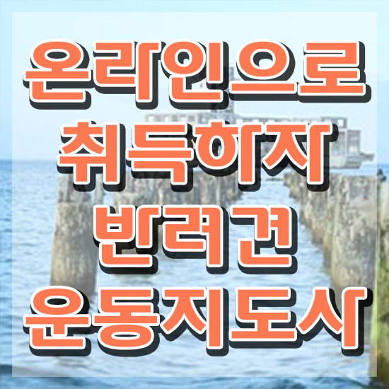  컴퓨터 자격증 추천 , 반려견운동지도사 무자격 비전공자도 쉽게 끝낼수 있었던 팁