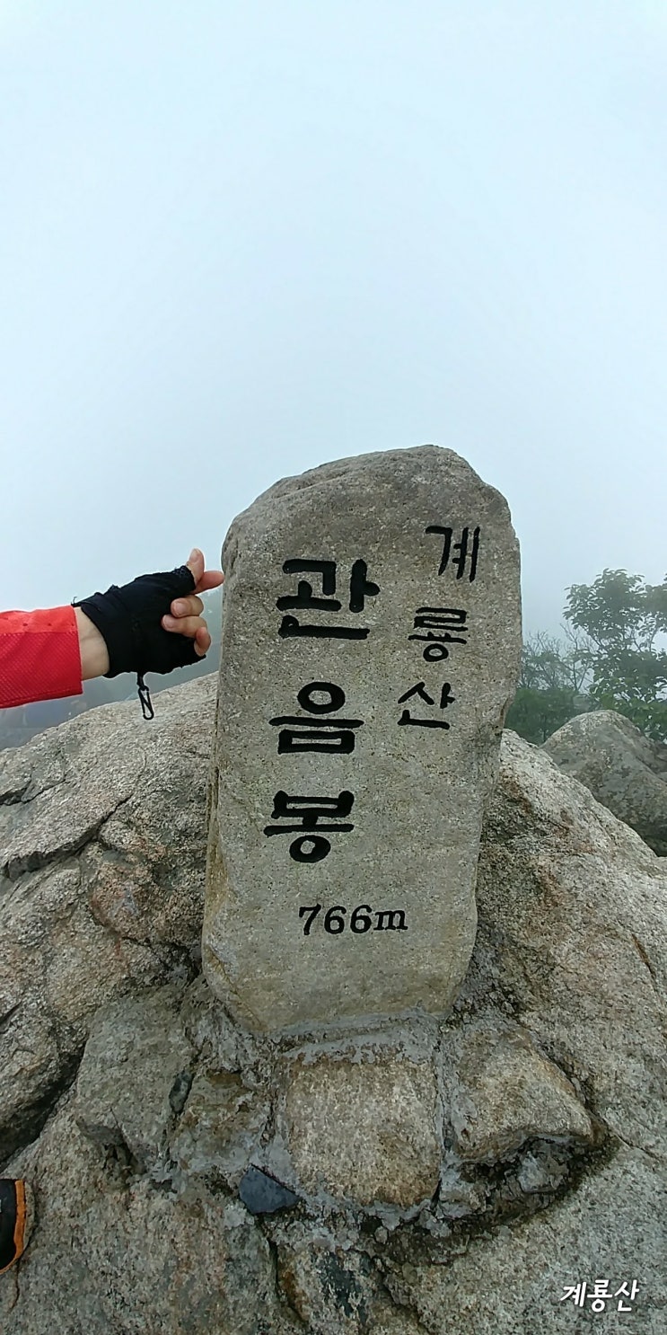  100대 명산: 계룡산 7월여름 산행 일지 (우중산행)