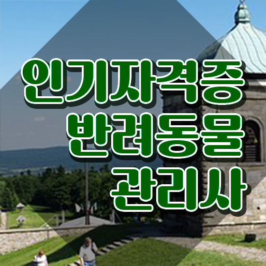  반려동물종합관리사 , 반려동물관리사 자격증 직장인도 쉽게 준비 과정 공유드려요