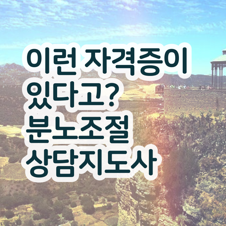  40대 자격증 추천 , 분노조절상담지도사 온라인 교육원에서 무자격 비전공자도 편하게 완료한 전략