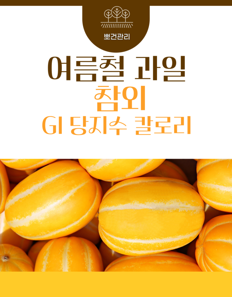  참외 당지수와 칼로리 여름철 혈당 관리에 좋은 과일일까