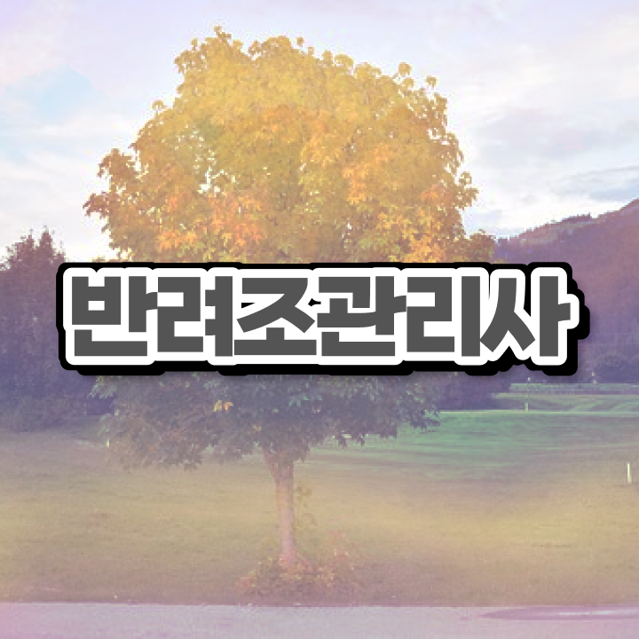  코뉴어 앵무새 수명 , 반려조관리사 자격증 2주 만에 합격한 후기 및 취업 전망
