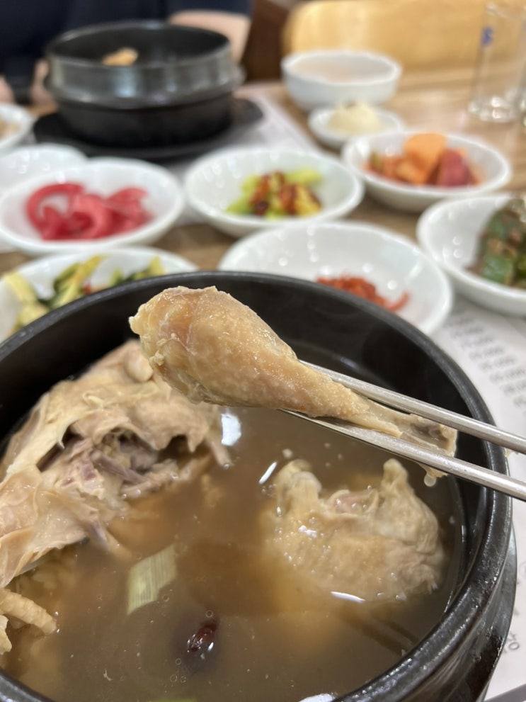  김포 보양식 든든한 삼계탕 맛집 일등한방삼계탕