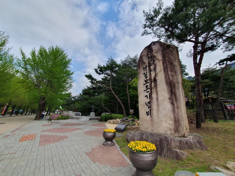 사진 5