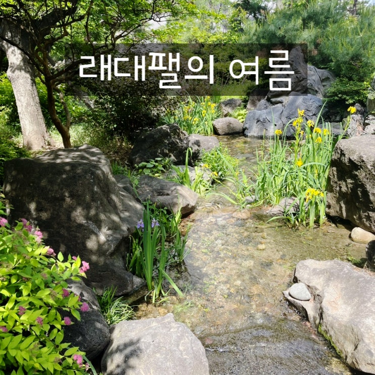  래대팰의 5월 풍경 feat 커뮤니티 예약 사이트, 중석식 서비스