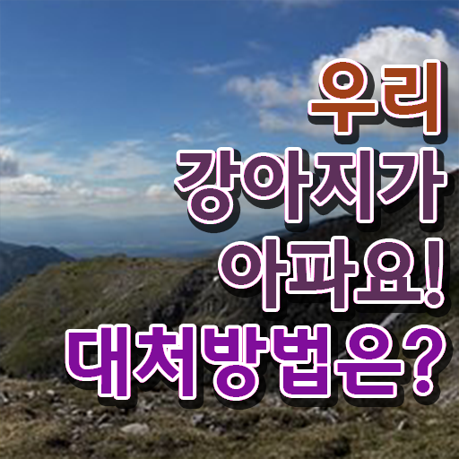  , 반려동물관리사 자격증 합격한 팁 여기만 보세요