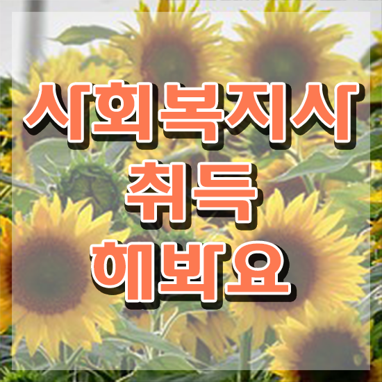  구미 사회복지학사 ,