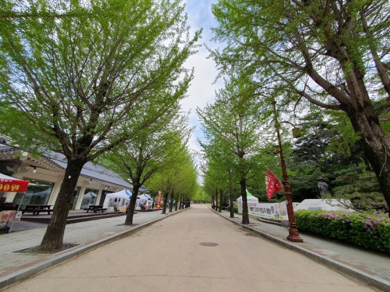 사진 6