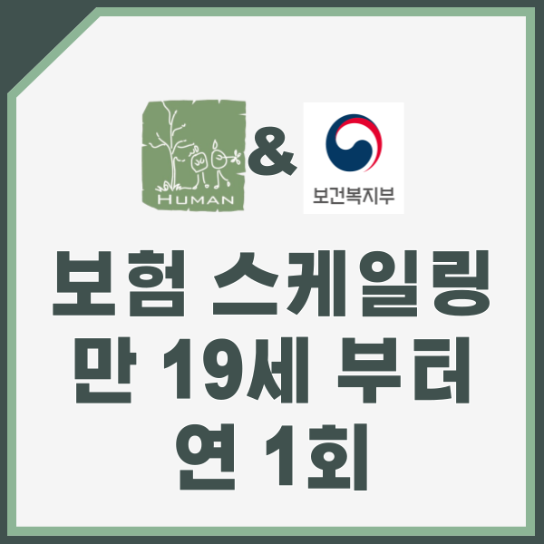 보험 스케일링