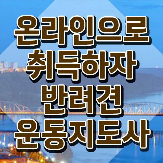  40대 자격증 추천 , 반려견운동지도사 비전공 무경력자도 빠르게 끝내는 과정