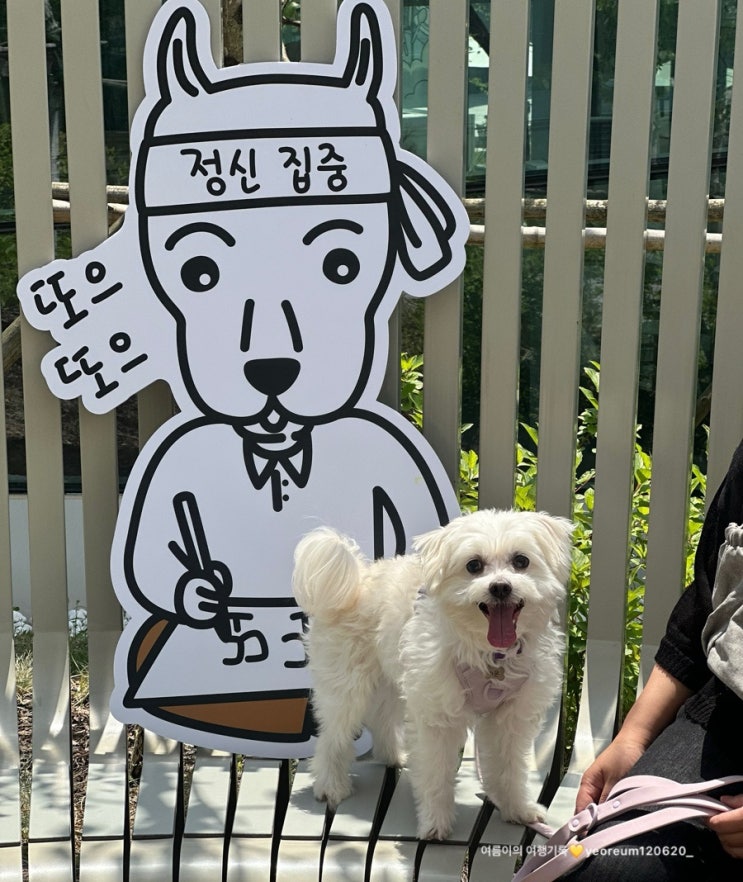  5월 의왕 롯데프리미엄아울렛 타임빌라스 애견동반 키크니 반려단길 #펫전시회
