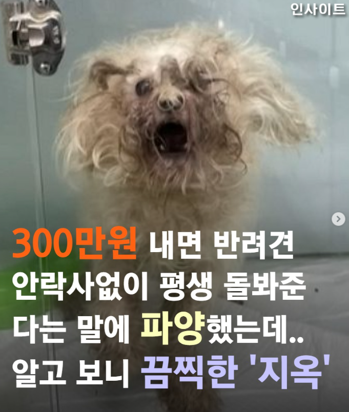  300만원 내고 파양했는데(분노주의)