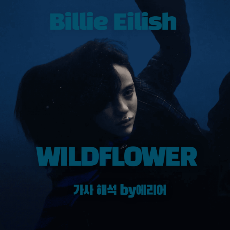 [와일드플라워] 빌리 아일리시 Billie Eilish - WILDFLOWER 가사/해석/듣기 #빌리아일리쉬