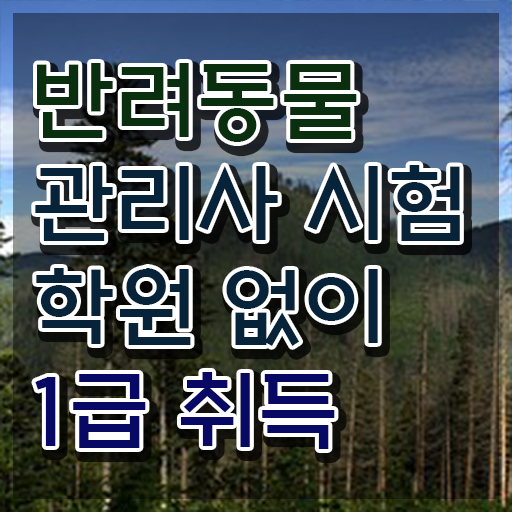  반려동물관리사채용 , 반려동물관리사 자격증 취득했던 후기 핵심 정보