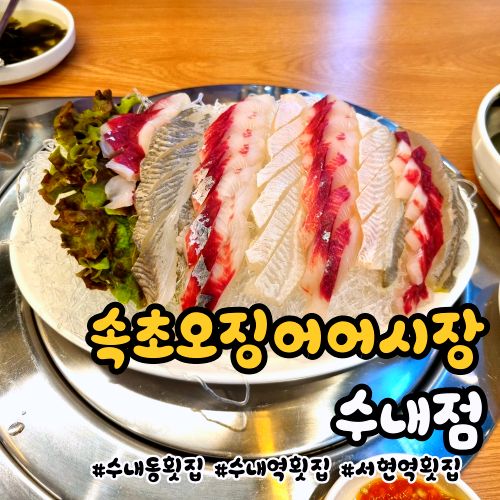 분당 수내역 횟집 추천, 속초오징어어시장에서 회 먹고 왔어요! 분당 수내역 횟집 추천, 속초오징어어시장에서 회 먹고 왔어요!