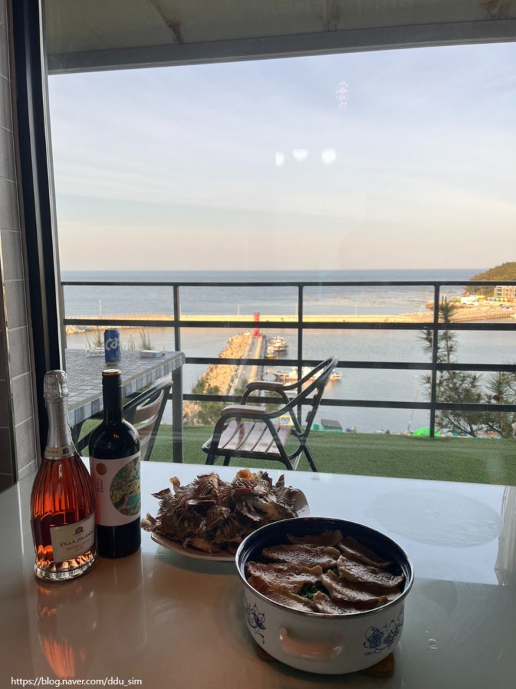  포항 깔끔한 숙소 피노키오 풀빌라 펜션 숙박 후기(feat. 먹부림) 내돈내산