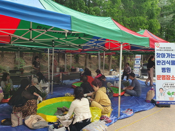  광주농업기술센터, 전문가가 직접 아픈 반려식물 진단·치료하는 반려식물병원 운영