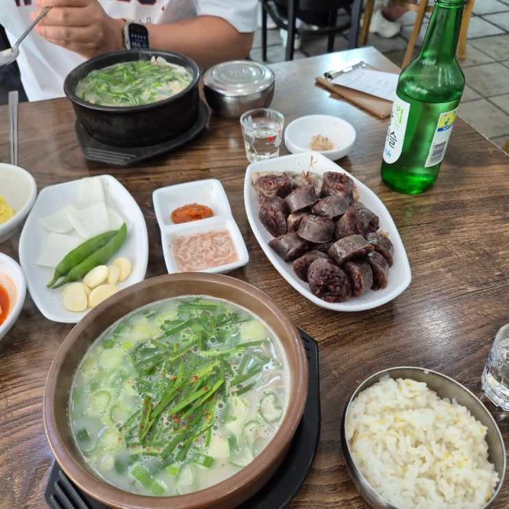  마산 내서 호계 '팔봉 국밥' 돼지국밥 내장국밥 맛보기 순대 내 돈 내산 후기
