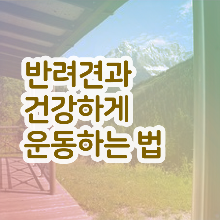  , 반려견운동지도사 인강만 듣고 독학으로 편하게 준비했던 비법