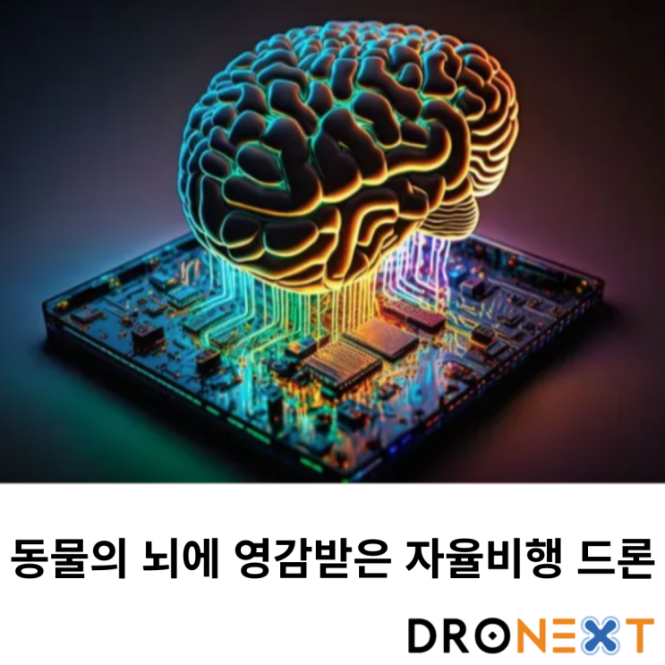  델프트 공대, 동물의 뇌에 영감받은 자율비행 드론 개발