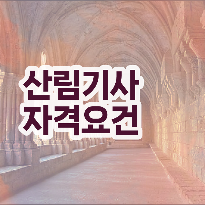  산림기사 독학 산림기사 자격요건 인강으로 편하게 성공한 후기