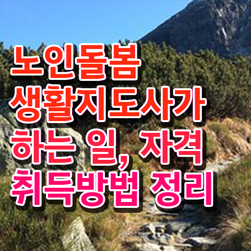  , 노인돌봄생활지원사자격증 20일 만에 공부한 방법