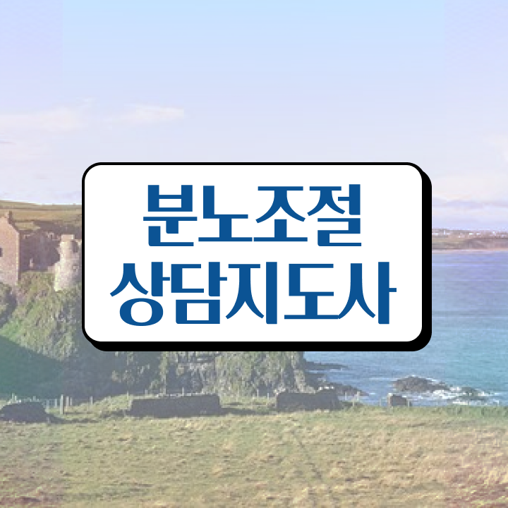  1급분노조절상담사아카데미 한달 만에 분노조절상담지도사 취득한 방법 확인하세요