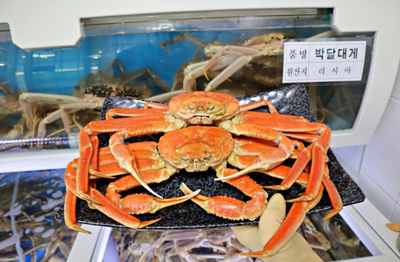 영덕에 가면 꼭 들러야하는 강구항 강구대교 영덕대게 맛집 '강구박달대게 풍물거리8호'