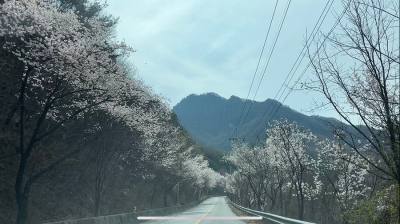 사진 3