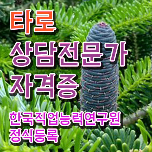  타로 강의 , 타로상담전문가 합격한 팁 및 취업관련 정보