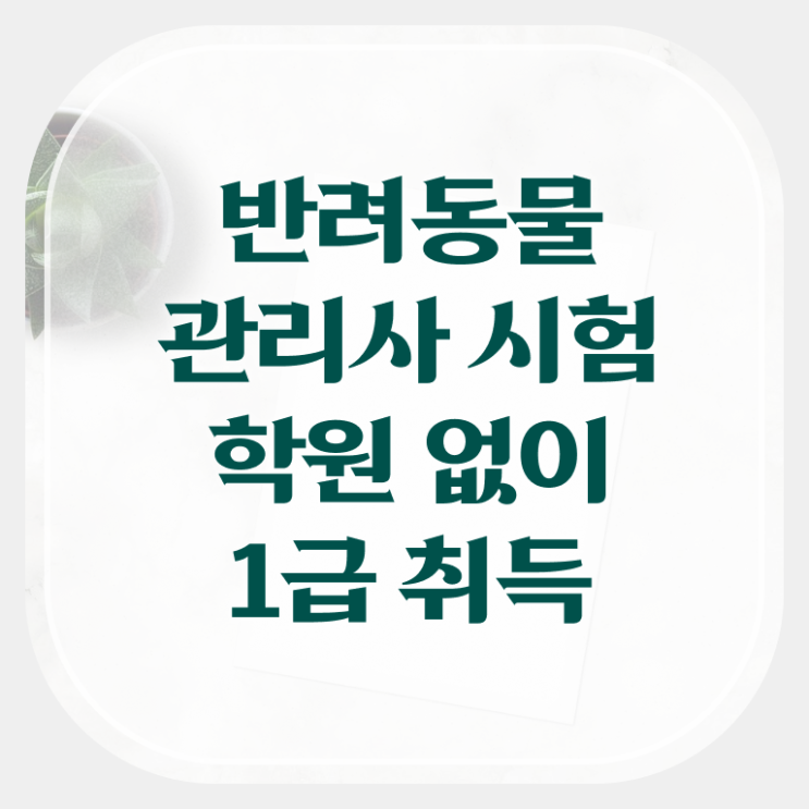  1급반려동물관리사교육과정 , 반려동물관리사 자격증 취득했던 후기 준비했어요