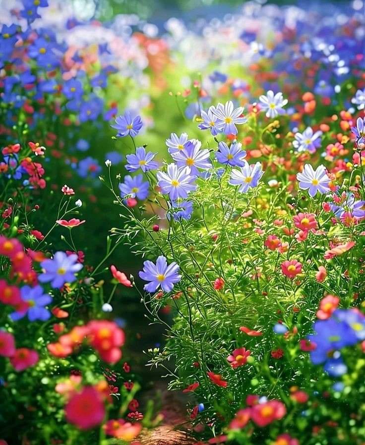   오늘의 생활정보 (2024-05-17, 금)