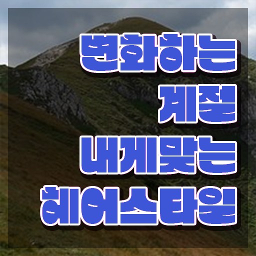  커트지도사 시험 , 커트지도사 자격증 응시자격 없이 합격 전략 확인하고 가세요