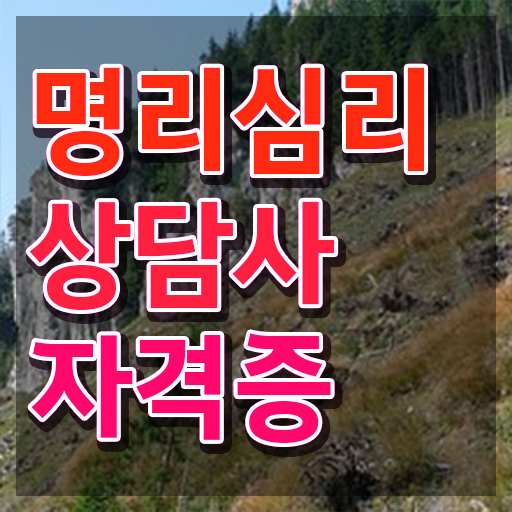 사주 음양오행 , 15일 만에 명리심리상담사 취득한 과정
