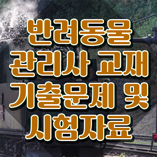  반려동물 자격증 학원 , 반려동물관리사 자격증 1달 만에 취득한 노하우 , 온라인 무료강의