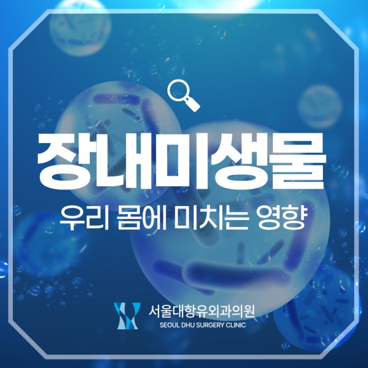  장내미생물이 우리 몸에 미치는 영향 ｜아현동외과