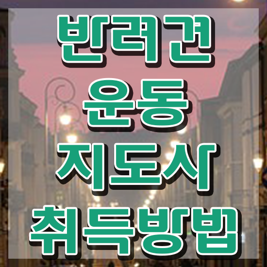  동물보건사 전망 , 중년 직장인도 반려견운동지도사 발급받아 보세요