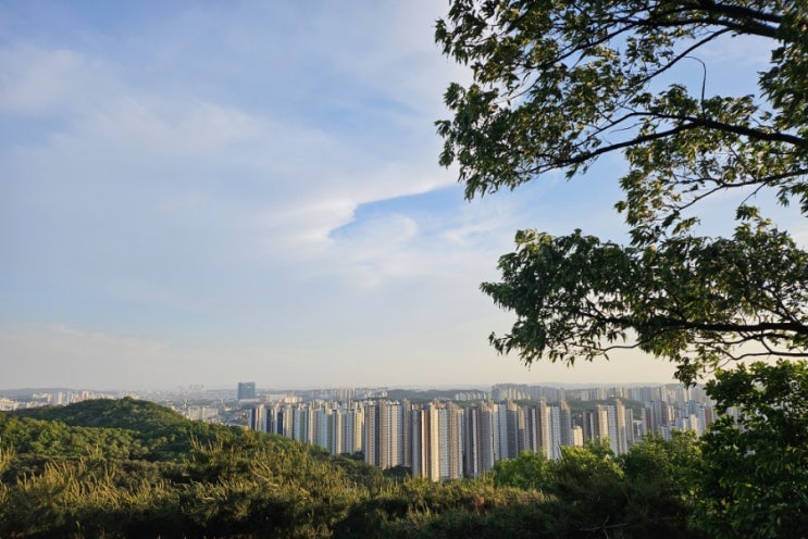  [국내여행/오산 등산] 등린이의 필봉산(144.2 m) 등산