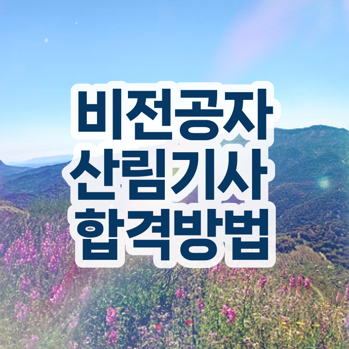  산림기사 응시자격확인 산림기사 응시조건 독학으로 15주만에 성공한 노하우