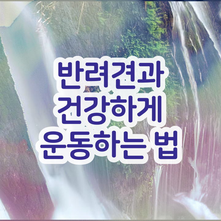  반려동물국가자격증 , 반려견운동지도사 취득한 노하우 및 현황과 채용정보