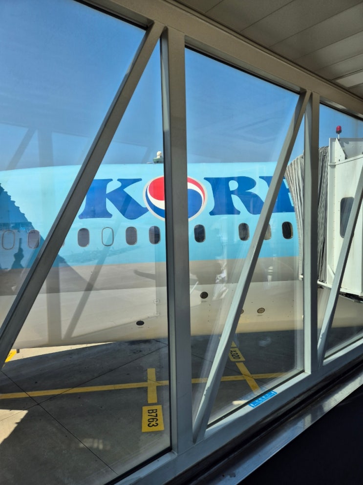 대한항공 직항 발리 신혼여행 이코노미 KE633, KE630 기내식&탑승 후기 대한항공 직항 발리 신혼여행 이코노미 KE633, KE630 기내식&탑승 후기