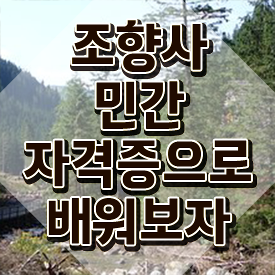 40대여자자격증 , 조향사 관련학과 아니어도 온라인 교육원 통해서 빠르게 끝냈던 후기