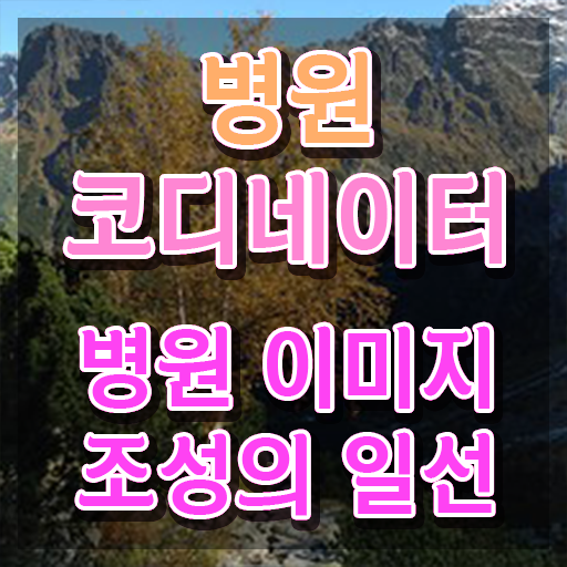  패션 코디네이터 , 병원코디네이터 자격증 1달 만에 취득한 방법 짚어드려요