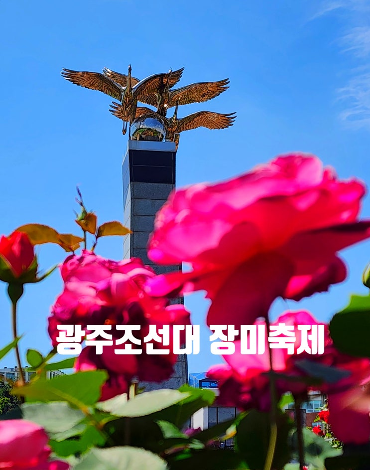  〔전남광주〕광주 조선대학교 장미원-조선대 장미원-조선대 장미축제 2024.5.16~5.20-주차장 정보-주차비-장미원 안내도