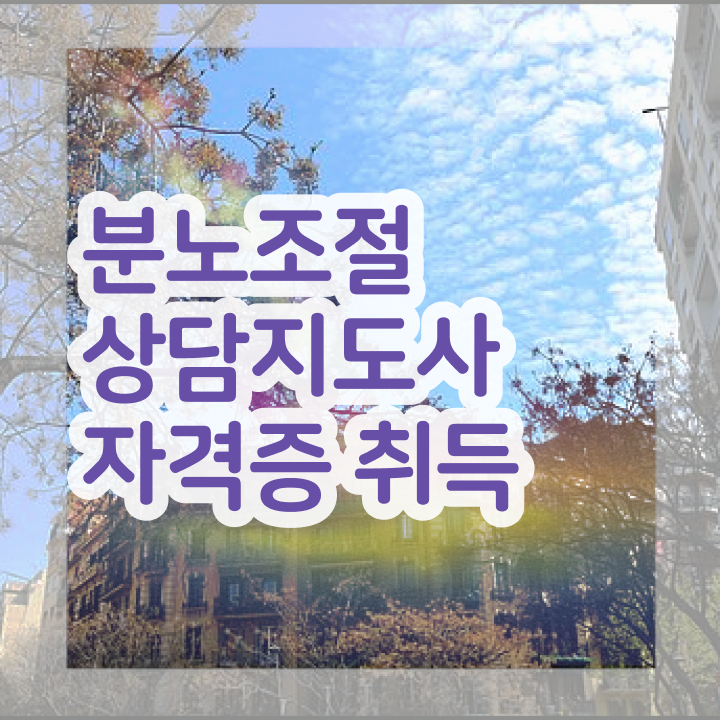  40대남자자격증 , 분노조절상담지도사 혼자서 독학으로 손쉽게 끝냈던 전략