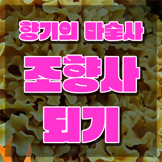  조향사자격증 , 혼자서 독학으로 조향사자격증 합격 전략