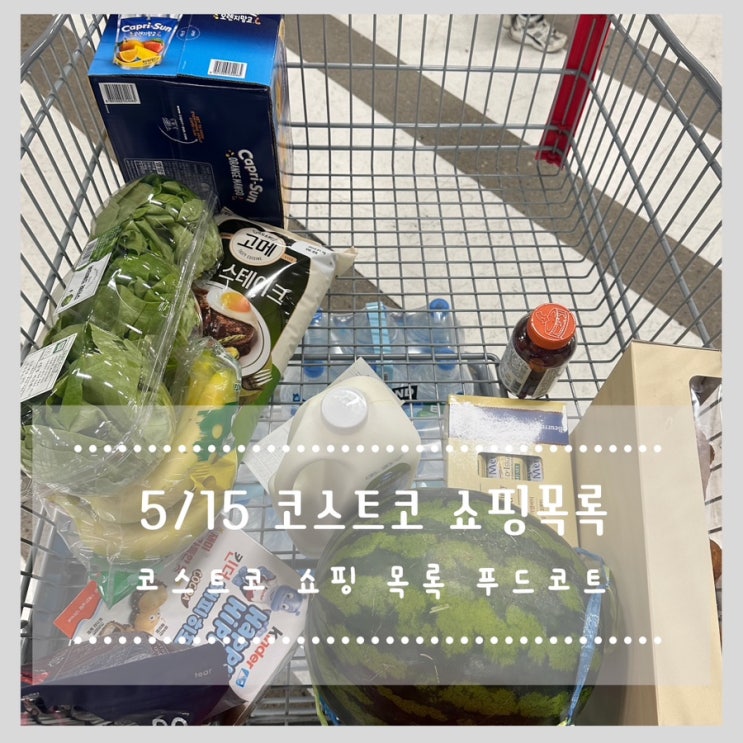  5/15 코스트코 쇼핑목록 푸드코트 망고소르베 츄러스